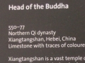 Head of Buddha - Northern Qi Dynasty - AD 550