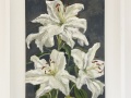 Angela-Roberts-Lillies-