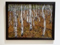 Cathy-Tribe-Birch-Trees-in-Autumn-