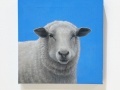 Hazel-Brightman-Sheep-