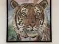 Sue-Shipp-Tiger-