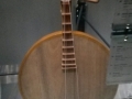 Musical Instruments at The Horniman