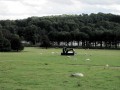 Henry Moore, Yorkshire Sculpture Park